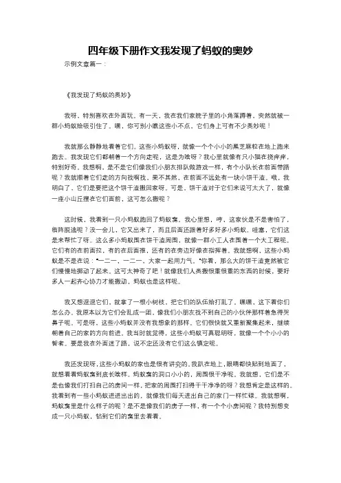 四年级下册作文我发现了蚂蚁的奥妙