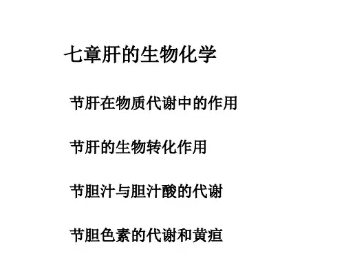 浙大生物化学课件肝的生物化学(内部)
