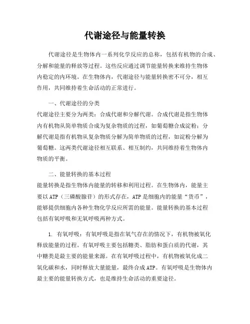 代谢途径与能量转换