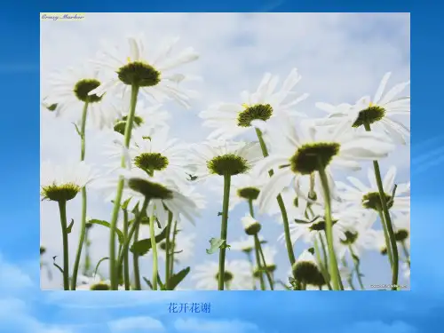 高中化学化学反应的方向1课件鲁科选修4.ppt