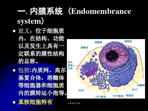 内膜系统最新课件