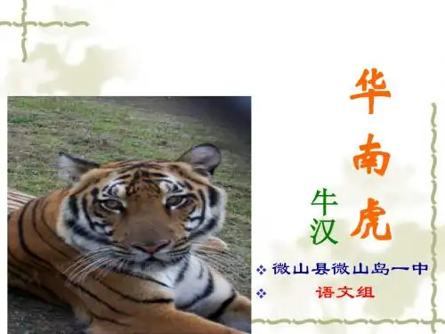 华南虎整合课件