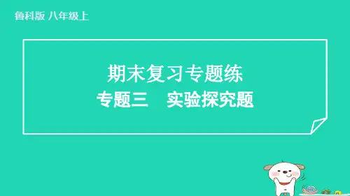 八年级物理上册期末复习专题练三实验探究题习题课件鲁科版五四制