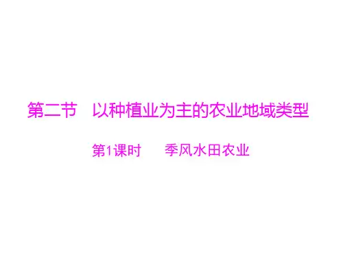 季风水田农业ppt课件