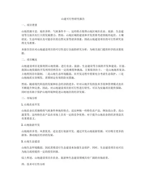 山建可行性研究报告