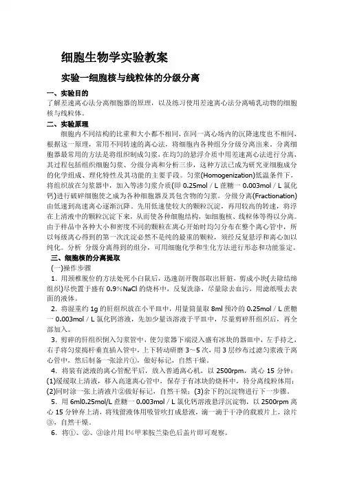 细胞实验教案1.
