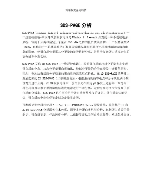 SDS-PAGE分析