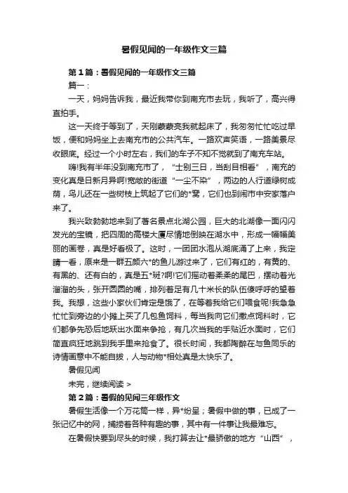 暑假见闻的一年级作文三篇