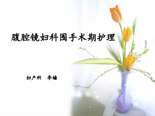 妇科腹腔镜手术的护理  ppt课件