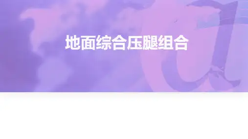 《舞蹈》课程教案——地面综合压腿组合
