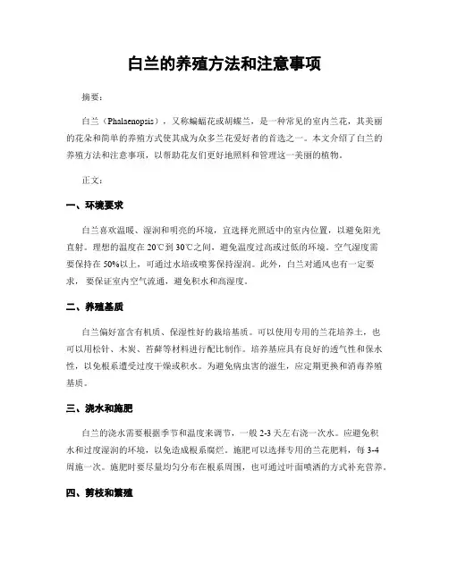 白兰的养殖方法和注意事项