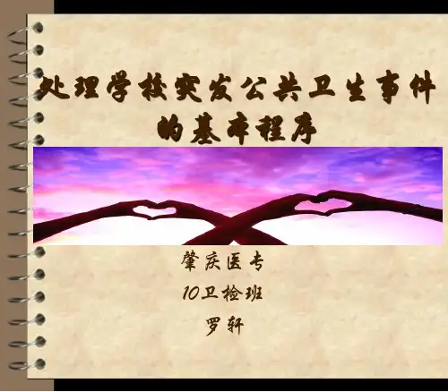 公共卫生事件.PPT