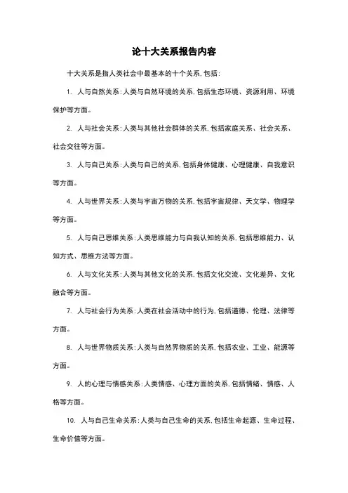 论十大关系报告内容