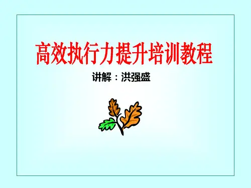 高效执行力的提升