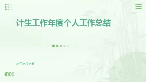 计生工作年度个人工作总结PPT