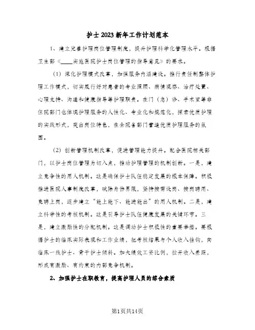 护士2023新年工作计划范本(4篇)