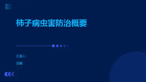柿子病虫害防治概要