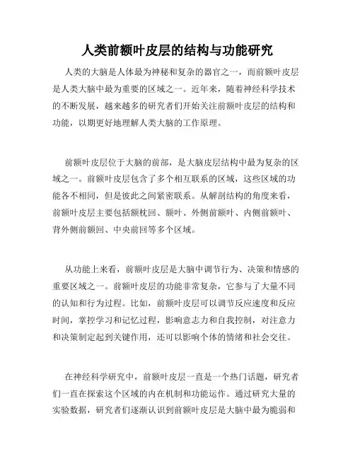 人类前额叶皮层的结构与功能研究