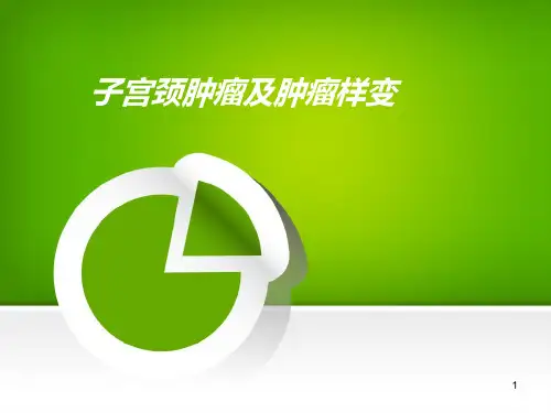宫颈病变PPT课件