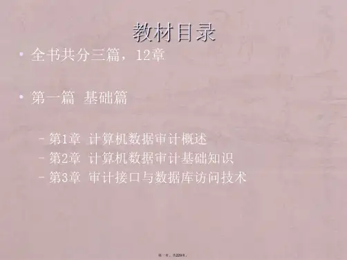 计算机数据审计_(2014年下)