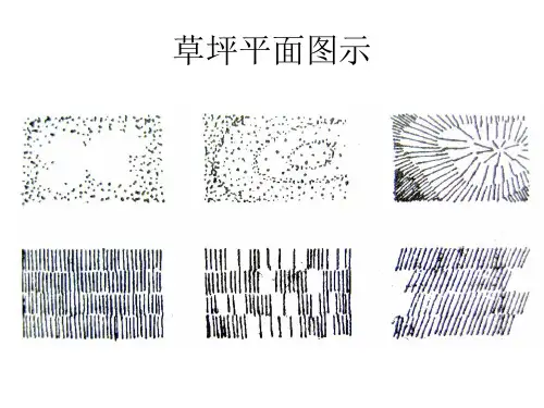 景观设计 水体设计 地面铺装