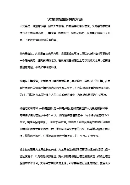 火龙果家庭种植方法