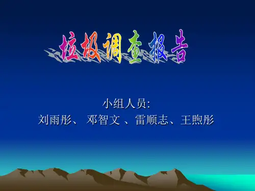 重庆市垃圾调查报告