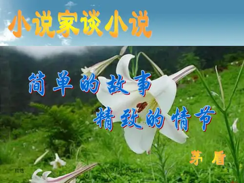 九年级语文上册第四单元14小说家谈小说简单的故事精致的情节小说课件苏教版