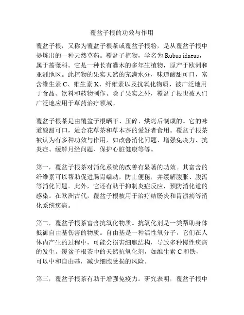 覆盆子根的功效与作用