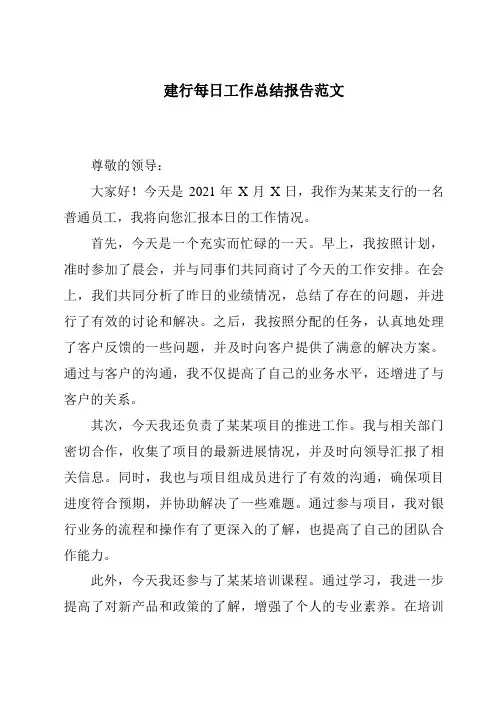 建行每日工作总结报告范文