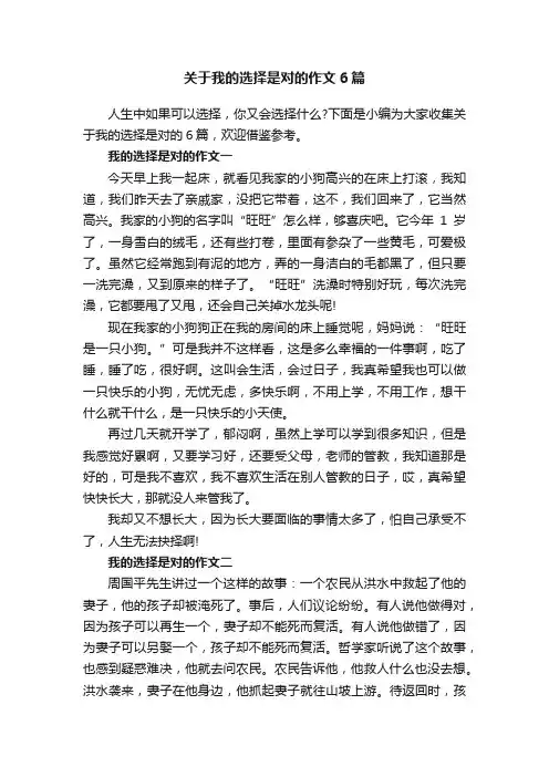 关于我的选择是对的作文6篇