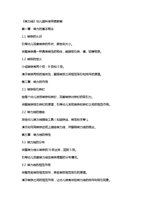 《磁力线》幼儿园科学探索教案