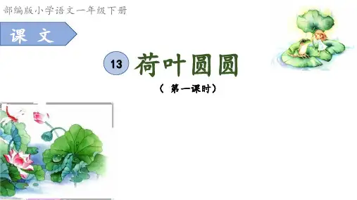 部编版小学语文一年级下册13课《荷叶圆圆》第一课时