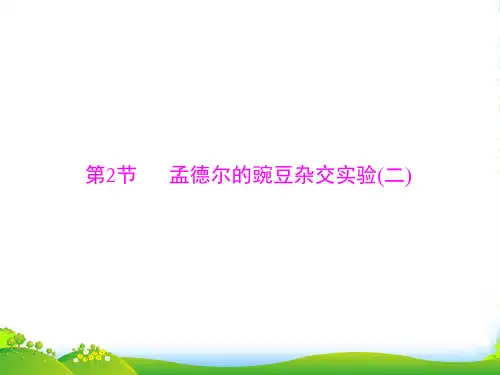 版高考生物课堂一轮总复习(实用课件)：必修2 第1章 第2节 孟德尔的豌豆杂交实验(二)