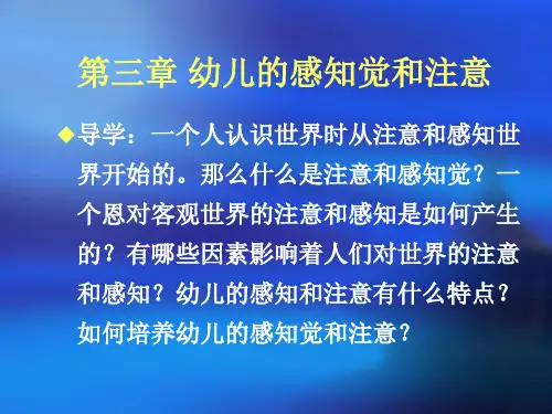 幼儿心理学第三章.