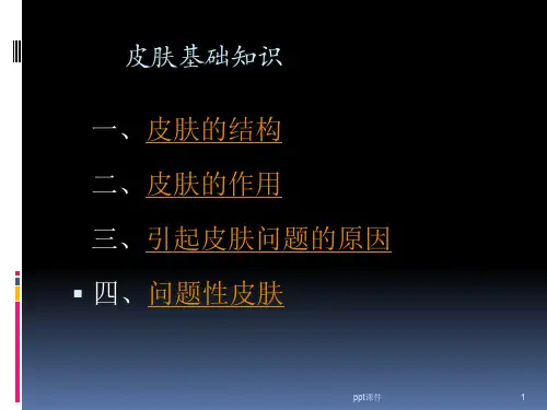 皮肤护理基础知识  ppt课件
