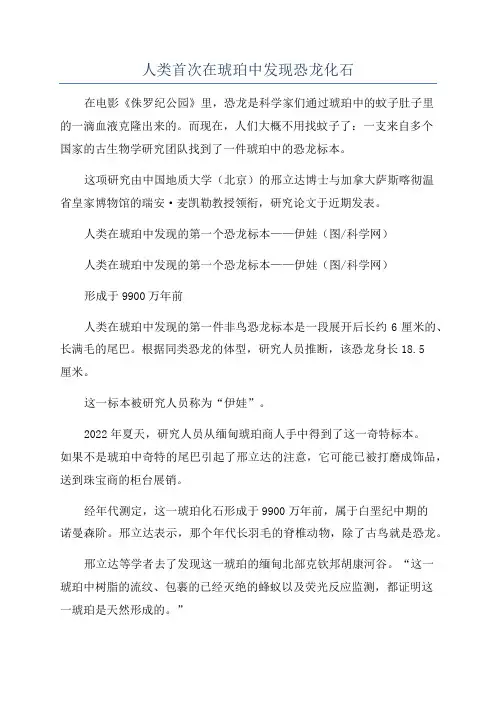 人类首次在琥珀中发现恐龙化石