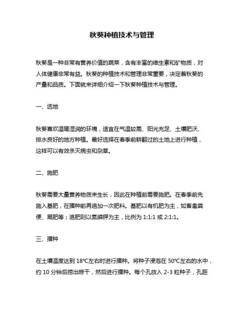 秋葵种植技术与管理