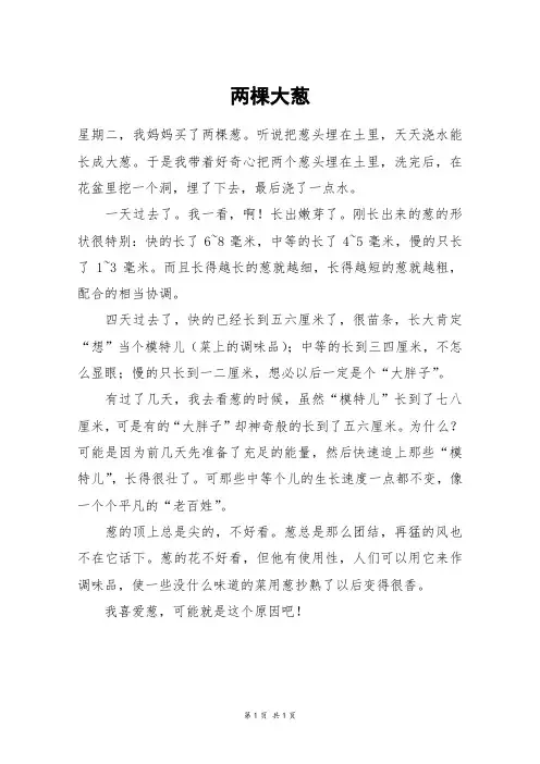 两棵大葱_四年级作文