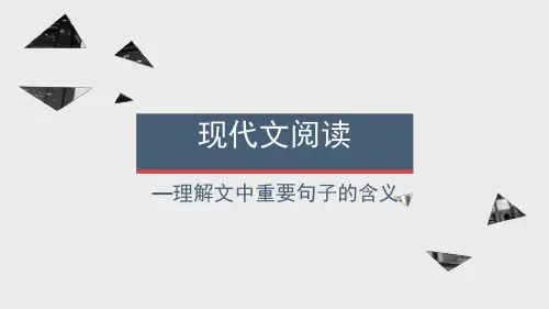 散文阅读之理解文中重要句子含义.ppt