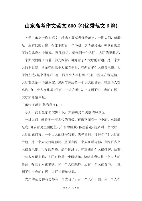 山东高考作文范文800字(范文6篇)