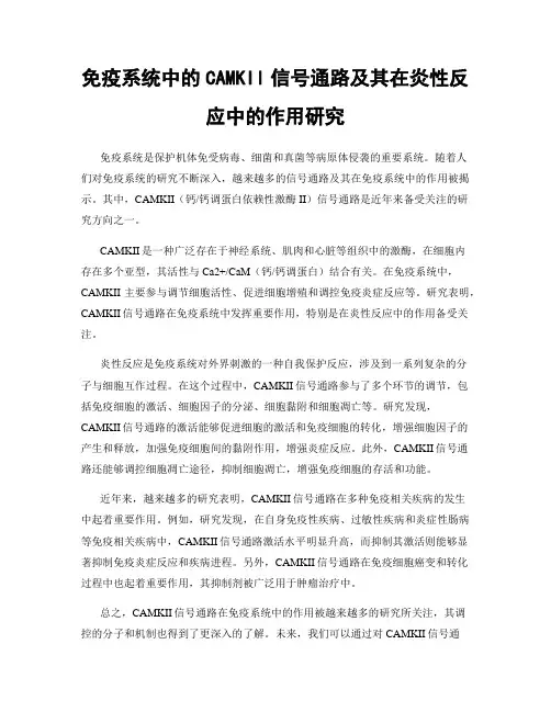 免疫系统中的CAMKII信号通路及其在炎性反应中的作用研究
