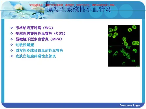 ANCA相关小血管炎诊疗和治疗的进展培训课件