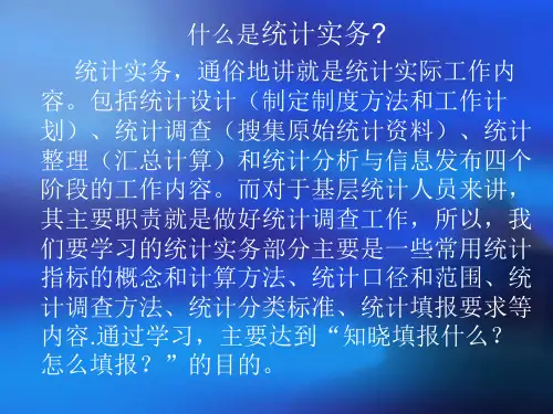 2011学习资料-统计实务⊙o⊙)啊