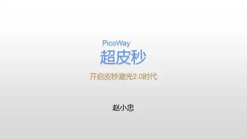 PicoWay超皮秒—赵小忠