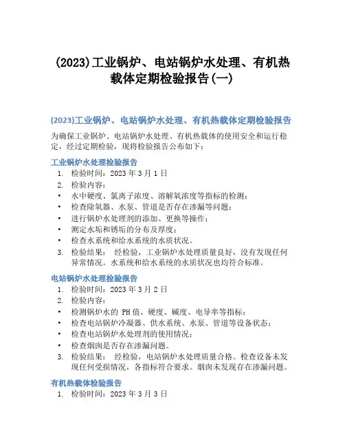 (2023)工业锅炉、电站锅炉水处理、有机热载体定期检验报告(一)