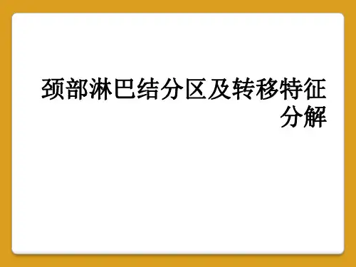 颈部淋巴结分区及转移特征分解