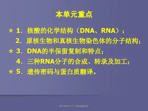 遗传物质的分子基础9课件