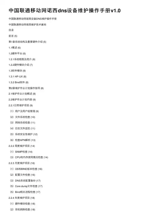 中国联通移动网诺西dns设备维护操作手册v1.0