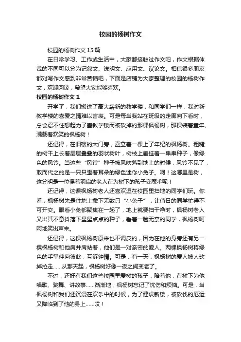 校园的杨树作文